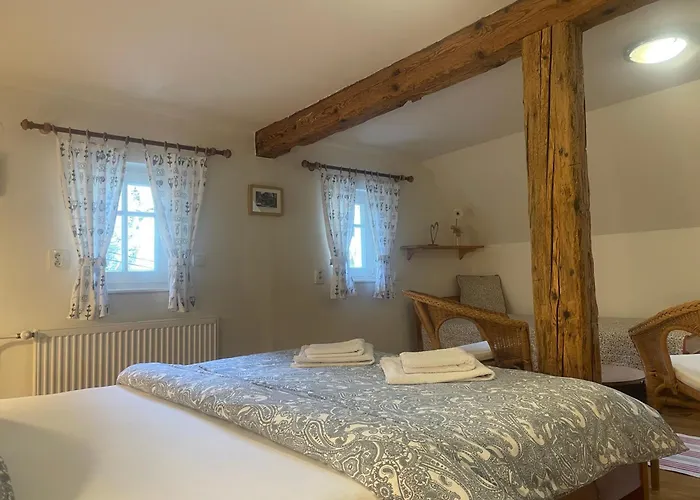 招待所 Soutesky 赫任斯科