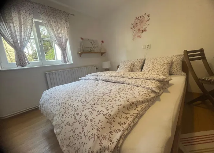 招待所 Soutesky 3*